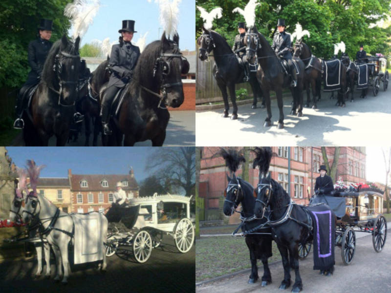 horse-drawn hearse funeral